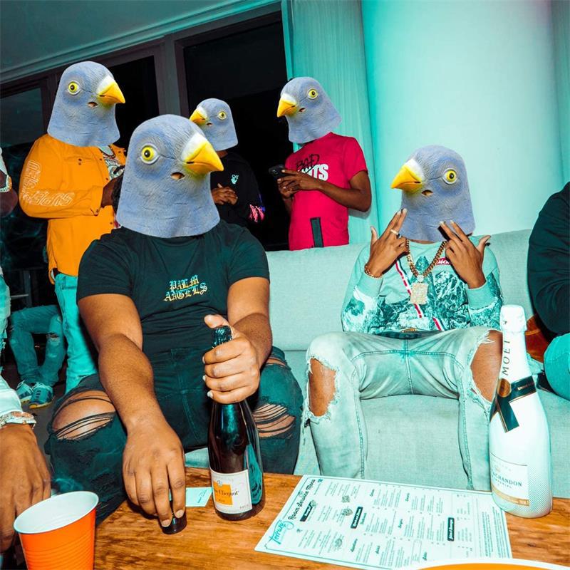 Tauben-Maskenkostüm Neuartiges – Skincare Pigeon Bewertung und Preis